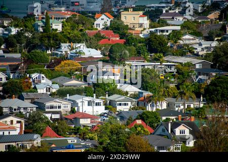 Case residenziali a Devonport - nuova Zelanda Foto Stock