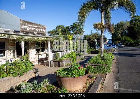 Newrybar Australia, città di campagna nella regione settentrionale dei fiumi del nuovo Galles del Sud, Harvest deli e ristoranti a Newrybar, Australia Foto Stock