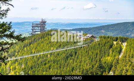 Vista aerea dello Sky Bridge 721, la passerella sospesa più lunga del mondo, che si estende su una montagna boscosa in Cechia. La torre panoramica Sky Walk si erge nelle vicinanze e offre vedute panoramiche Foto Stock