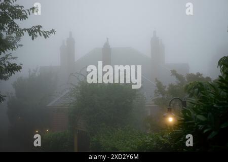 Il tetto in ardesia e molti camini alti sulla casa di Lilianfels, a Katoomba, circondato da alberi e fogliame e avvolto da una fitta nebbia Foto Stock