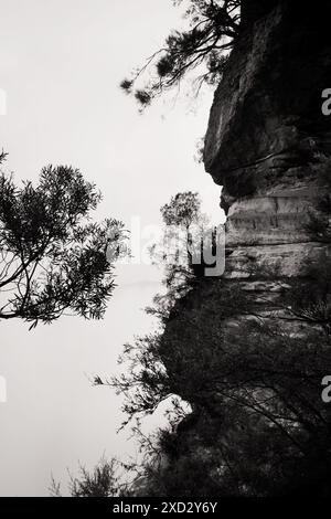Si affaccia su un vuoto bianco di spazio, alberi e fogliame e su una scogliera di arenaria vista dai sentieri delle tre Sorelle, avvolti da una fitta nebbia Foto Stock