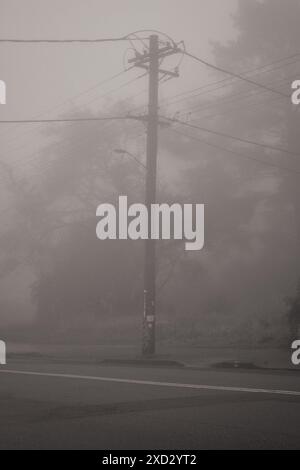 Un polo elettrico e linee elettriche in forte nebbia con fantasmi di alberi, sul ciglio della strada in Katoomba Street nelle Blue Mountains, New South Wales Foto Stock