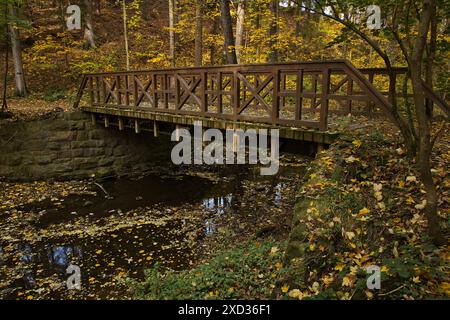 Passerella sul fiume Stropnice nel parco pubblico "Tercino udoli" a nove Hrady nella Boemia meridionale, repubblica Ceca, Europa Foto Stock