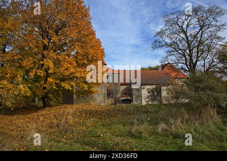 Castello Cuknstejn nel parco pubblico "Tercino udoli" a nove Hrady nella Boemia meridionale, repubblica Ceca, Europa Foto Stock