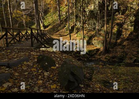 Passerella sul fiume Stropnice nel parco pubblico "Tercino udoli" a nove Hrady nella Boemia meridionale, repubblica Ceca, Europa Foto Stock