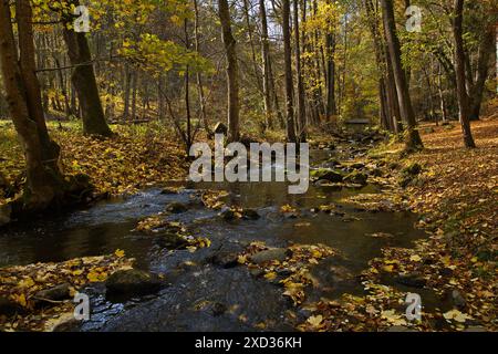 Passerella sul fiume Stropnice nel parco pubblico "Tercino udoli" a nove Hrady nella Boemia meridionale, repubblica Ceca, Europa Foto Stock