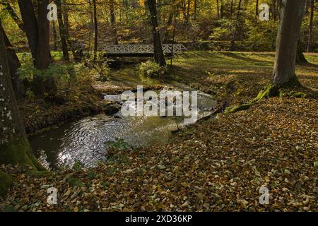 Passerella sul fiume Stropnice nel parco pubblico "Tercino udoli" a nove Hrady nella Boemia meridionale, repubblica Ceca, Europa Foto Stock