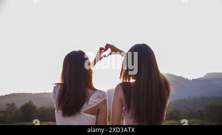 Silhouette coppia mani sollevate per dare forma al cuore su uno splendido sfondo serale. concetto ​​making simbolo del cuore a forma di mano espresso amore f Foto Stock