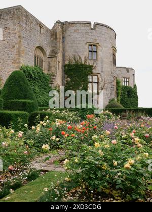 Il roseto del castello di Chirk e i giardini di Wrexham, Galles, Regno Unito Foto Stock