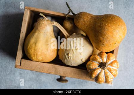 Un rustico espositore autunnale piatto con zucche e gourde disposte in un vassoio in legno vintage su una superficie grigia testurizzata Foto Stock