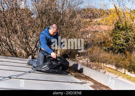 Un uomo di mezza età toglie diligentemente le foglie autunnali da un tetto indossando un abbigliamento casual e protetto da un'imbracatura di sicurezza, è concentrato sulla manutenzione Foto Stock