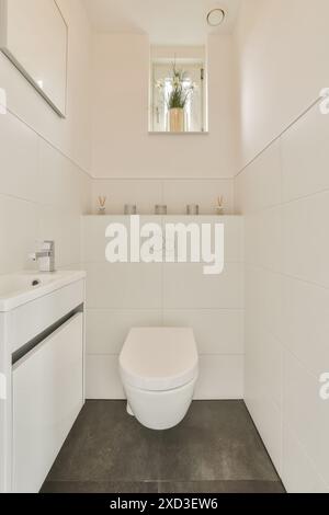 Un bagno bianco con pavimento in piastrelle nere e una finestra aperta sopra la ciotola della toilette c'è una pianta sul muro Foto Stock