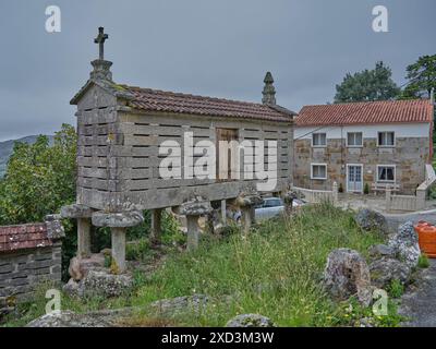 Horreos, una costruzione ventilata in legno o pietra con piedi dove le colture venivano immagazzinate e conservate, in particolare il mais, nella città di una merca, in Galizia Foto Stock