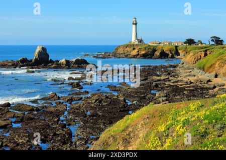 Geografia / viaggi, Stati Uniti, California, Pescadero, faro di Pigeon Point, PESCADORO, AUTOSTRADA 1, ULTERIORI DIRITTI-INFORMAZIONI-NON-DISPONIBILI Foto Stock