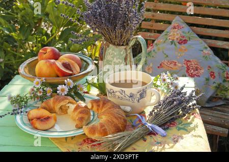 Botanica, tazza con caffè, croissant su un piatto, INFORMAZIONI AGGIUNTIVE-AUTORIZZAZIONE-NON-DISPONIBILI Foto Stock