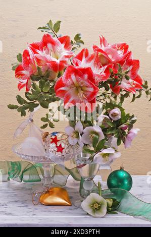 BOTANY, ADDITIONAL-RIGHTS-CLEARANCE-INFO-NOT-AVAILABLE Foto Stock