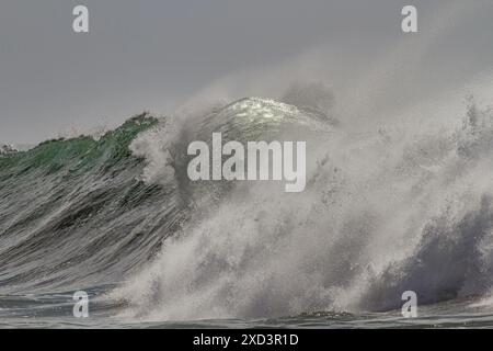 In cima a una grande onda verde dell'oceano con primo piano di spighe Foto Stock