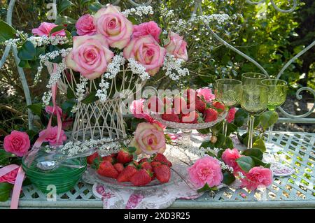 Botanica, rose e camelie in un cestello in filo metallico con piatti di fragole su un banco in metallo all'aperto, ULTERIORI DIRITTI-CLEARANCE-INFO-NON-DISPONIBILI Foto Stock
