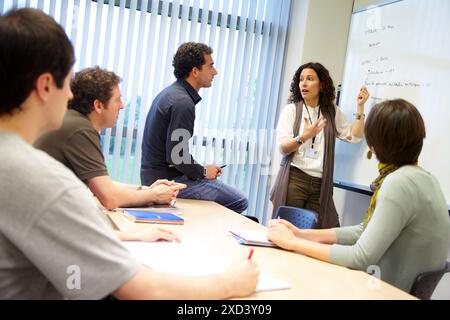 Project Meeting, Natural Language Technologies, Vicomtech-IK4 Visual Interaction and Communication Technologies Centre, centro di ricerca applicata per in Foto Stock