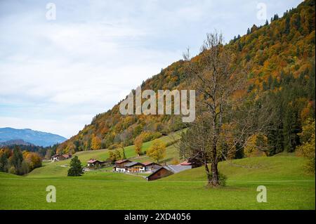 Geografia / viaggi, Germania, Baviera, ATTENZIONE! PER L'USO DI GREETINGCARD/CARTOLINA NEI PAESI DI LINGUA TEDESCA POTREBBERO ESSERE APPLICATE ALCUNE RESTRIZIONI Foto Stock