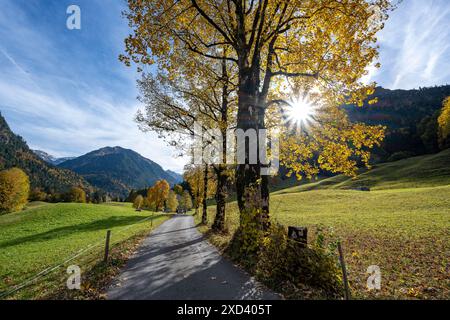 Geografia / viaggi, Germania, Baviera, ATTENZIONE! PER L'USO DI GREETINGCARD/CARTOLINA NEI PAESI DI LINGUA TEDESCA POTREBBERO ESSERE APPLICATE ALCUNE RESTRIZIONI Foto Stock