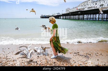 Brighton Regno Unito 20 giugno 2024 - Una donna cerca di gustare un gelato mentre pagaia sulla spiaggia di Brighton vicino al molo sotto il sole prima di essere mobbata dai gabbiani in quanto il tempo caldo è previsto per la Gran Bretagna per la prossima settimana . : Credit Simon Dack / Alamy Live News Foto Stock