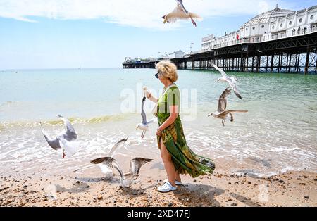 Brighton Regno Unito 20 giugno 2024 - Una donna cerca di gustare un gelato mentre pagaia sulla spiaggia di Brighton sotto il sole prima di essere sbattuta dai gabbiani, dato che il tempo caldo è previsto per la Gran Bretagna per la prossima settimana. : Credit Simon Dack / Alamy Live News Foto Stock