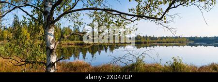 Riedsee, Wurzacher Ried, Bad Wurzach, alta Svevia, Baden-Wuerttemberg, Germania Foto Stock