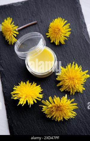 Balsamo a base di leoni o Taraxacum officinale per muscoli doloranti e pelle screpolata. Barattolo con salve giallo su fondo in legno bianco con dente di leone. Foto Stock