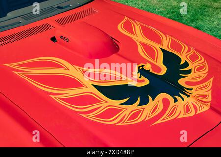 GROSSE POINTE SHORES, mi/USA - 16 GIUGNO 2024: Primo piano di una cappa Pontiac Firebird Trans-AM del 1973, mostra di auto EyesOn Design, Edsel & Eleanor Ford House. Foto Stock