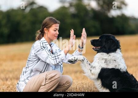 Ragazza felice con il suo cane sul campo il giorno di sole. Carino cane da montagna ceco che dà la zampa al proprietario di un animale. Foto Stock