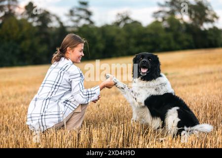 Ragazza felice con il suo cane sul campo il giorno di sole. Carino cane da montagna ceco che dà la zampa al proprietario di un animale. Foto Stock