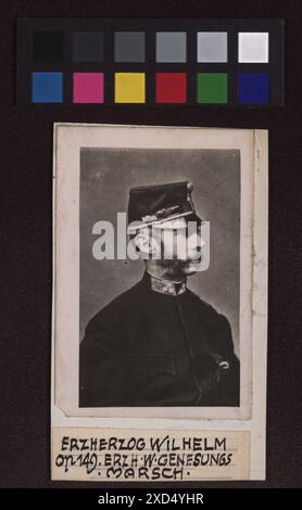 Ritratto dell'arciduca Guglielmo d'Austria (1827-1894) intorno al 1865 che lo mostra in abbigliamento formale, preso da L. & V. Angerer. Foto Stock