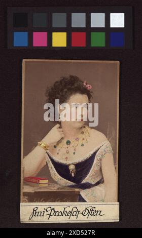 Ritratto di Friederike Goßmann, un'attrice, scattato intorno al 1870-1880, mostrandola in abbigliamento da studio. L'immagine fa parte della collezione del Museo di Vienna che documenta le persone storiche e gli eventi. Foto Stock