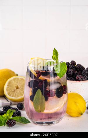 Cocktail alla limonata di gelso o mojito, rinfrescante bevanda estiva fredda ghiacciata con limone, menta e molti frutti di gelso freschi Foto Stock