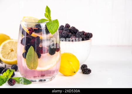 Cocktail alla limonata di gelso o mojito, rinfrescante bevanda estiva fredda ghiacciata con limone, menta e molti frutti di gelso freschi Foto Stock