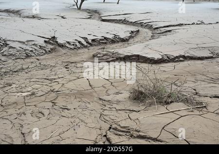 ETIOPIA, regione Sud Etiopia, Arguba, allagamento dopo lunga siccità distrugge i campi con mais / ÄTHIOPIEN, Arguba, zerstörte Mais Felder nach Starkregen und langer Dürre Foto Stock