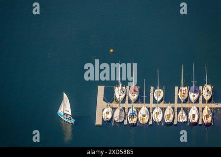 Vista aerea, attività ricreative a Unterbacher SEE, attracchi per barche, barche a vela, Unterbach, Düsseldorf, Renania, Renania settentrionale-Vestfalia, Ger Foto Stock