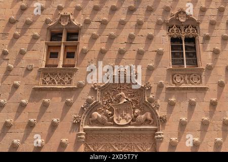 Spagna, Castiglia e León, Salamanca, Casa de las Conchas o Casa delle conchiglie, costruita tra il 1493 e il 1517 da Rodrigo Arias de Maldonado e decorata con più di 300 conchiglie, portale con lo stemma della famiglia Maldonado. Foto Stock