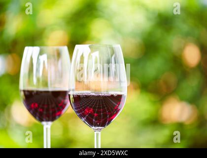 Due bicchieri da vino con vino rosso e un bellissimo bokeh sullo sfondo. L'attenzione è concentrata sulla riflessione nel bicchiere di vino. Profondità di campo ridotta. Foto Stock