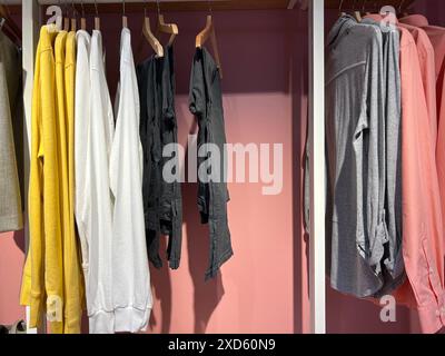 l'armadio organizzato presenta indumenti gialli, bianchi, neri, grigi e rosa appesi su grucce in legno su sfondo rosa Foto Stock