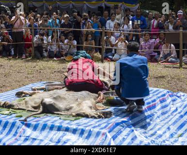 Chiang mai, Thailandia. 20 giugno 2024. I visitatori scattano foto di un uomo thailandese posseduto dagli spiriti, durante il festival. Il festival è unico e non spesso testimoniato da estranei, ma si tiene ogni anno ai piedi del monte Doi Kham, per rendere omaggio a due antichi spiriti giganti, PU SAE e Ya SAE. Credito: SOPA Images Limited/Alamy Live News Foto Stock