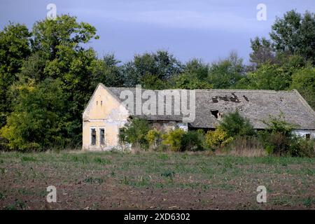 "salaš" abbandonato nelle campagne della Vojvodina, Serbia (2) Foto Stock