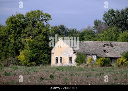 "salaš" abbandonato nelle campagne della Vojvodina, Serbia (2) Foto Stock