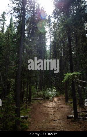 Un paesaggio montano e forestale nel Kananaskis Country, un parco provinciale e una popolare destinazione per escursioni e campeggi in Alberta, Canada Foto Stock
