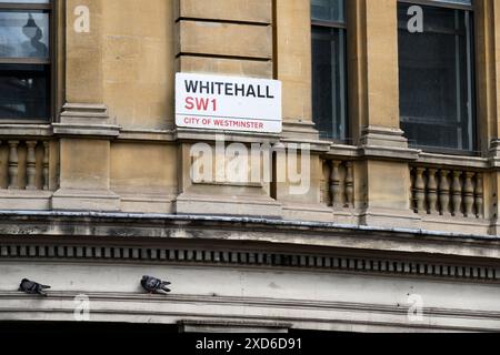 Whitehall, segnale stradale, Londra, Regno Unito. 16 giugno 2024 Foto Stock