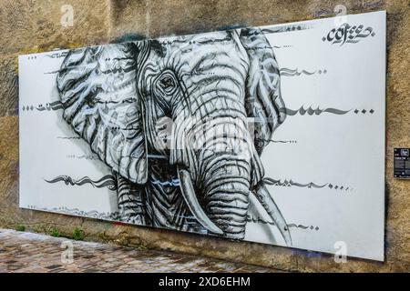 Opera d'arte sull'elefante creata dall'artista Cofee TSK su "le Mur", parete dedicata ai murales - Tours, Indre-et-Loire (37), Francia. Foto Stock