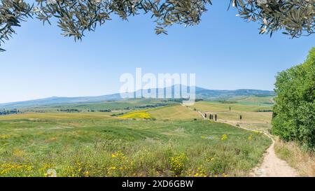 Pienza, Italia; 18 giugno 2024 - Vista sulla strada per l'Agriturismo Terrapille, Pienza, Italia. Foto Stock