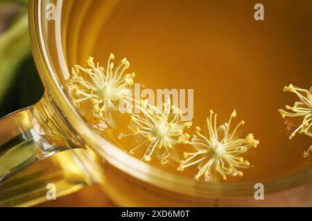 Fiori di tiglio in una tazza di tisana, da vicino Foto Stock