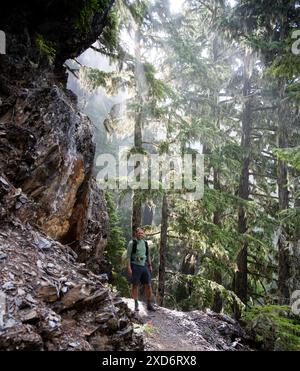 La mattina si illumina attraverso gli alberi ricoperti di muschio lungo il sentiero del fiume Hoh nell'Olympic National Park Foto Stock